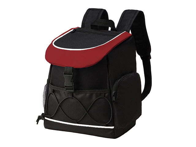 Fesor Backpack Cooler - Image 3
