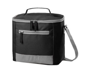 Hudson Lunch Cooler Bag