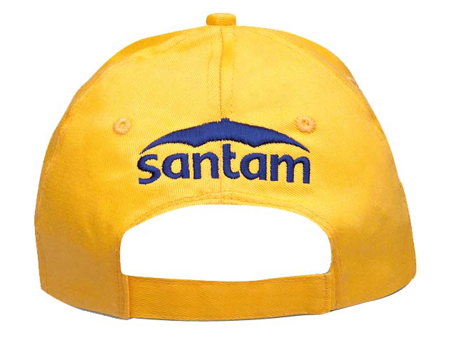 Detroit Cap - 6 Panel - Image 2