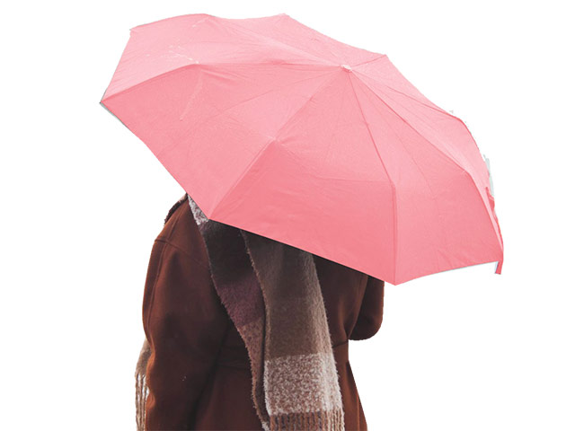 8 Panel Baton Umbrella