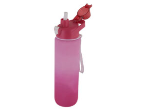 1 Litre Gradient Water Bottle