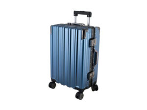 Trunk Cabin Luggage Bag - 20-inch