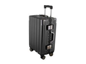Trunk Check-In Luggage Bag - 24-inch